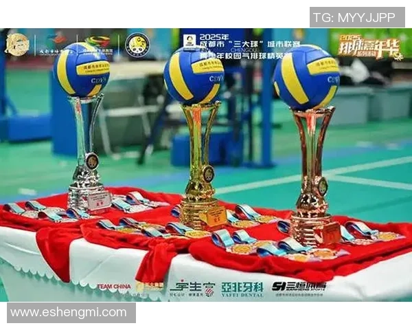 成都排球队在世锦赛中的精彩表现与实力分析 成都排球队在世锦赛中的精彩表现与实力分析